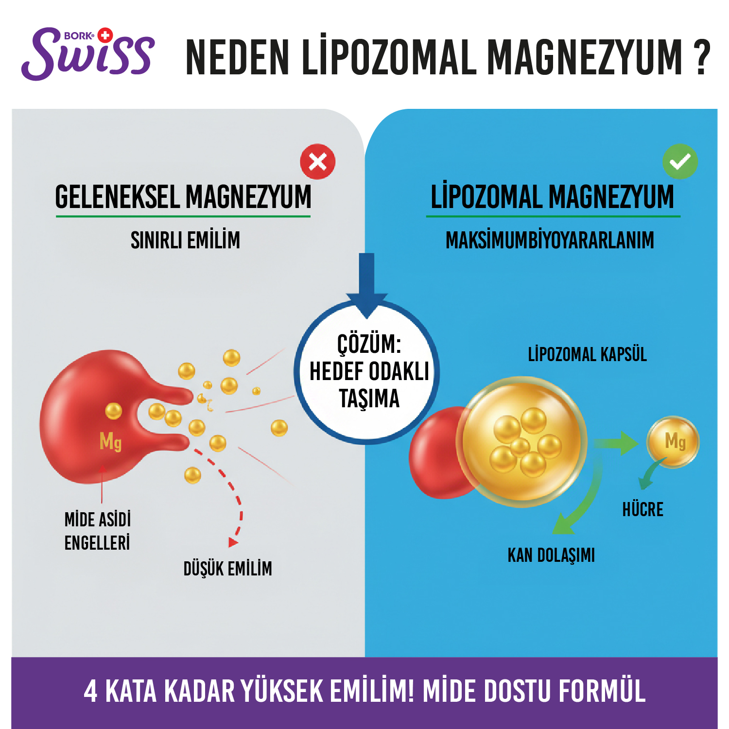 Mag-5X Liposomal Magnesium 4-lü Magnezyum 30 Vegan Kapsül