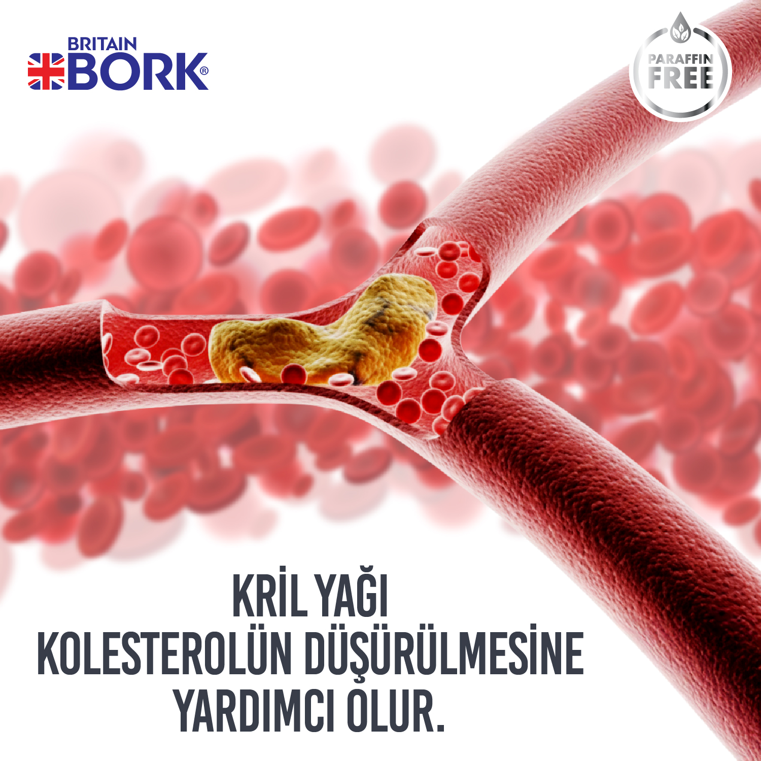 Krill Yağı 900mg Kolin ve Astaksantin İçeren 30 Liborcaps