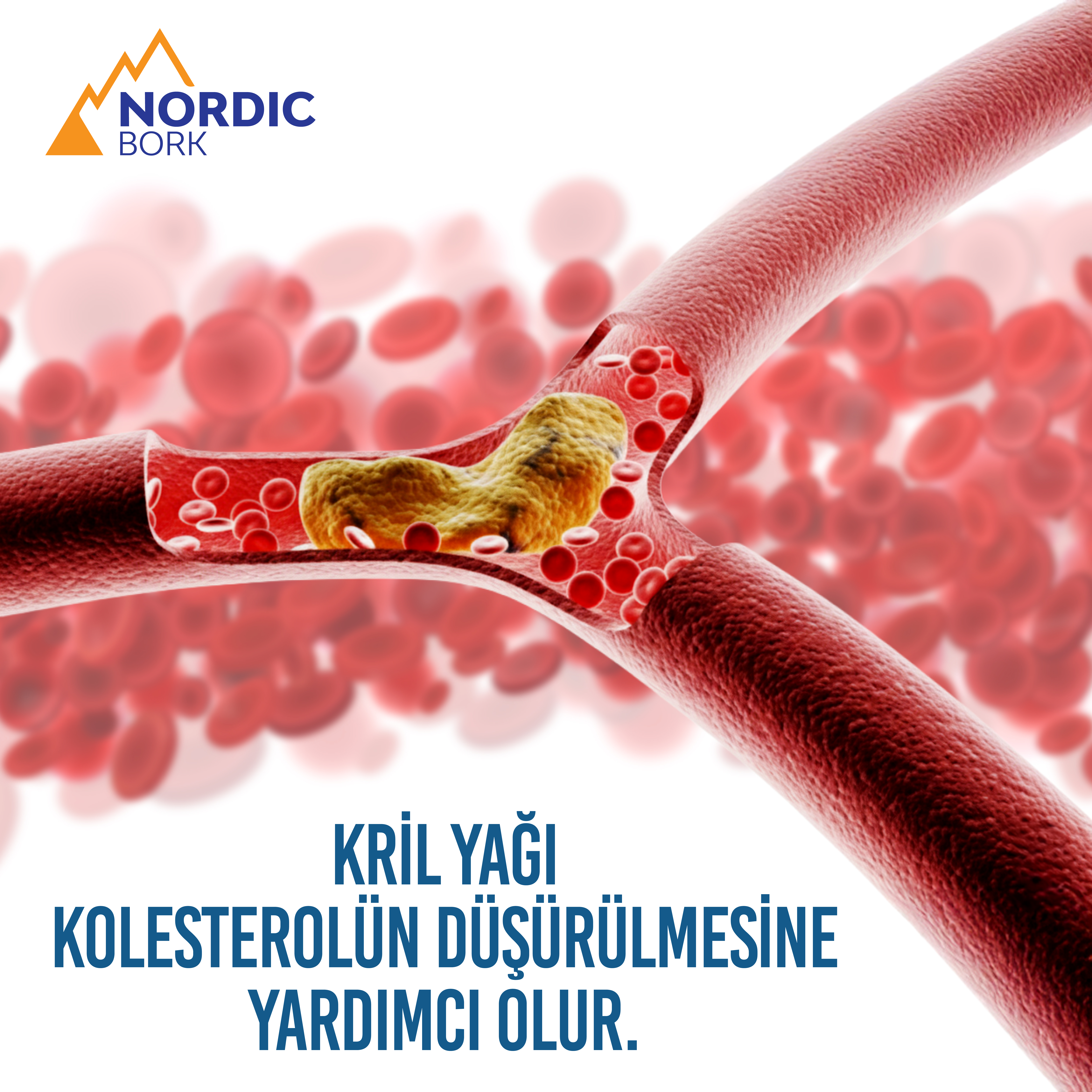 Bork Pure Krill Oil Q10 İçeren Omega 3 30 Softgel